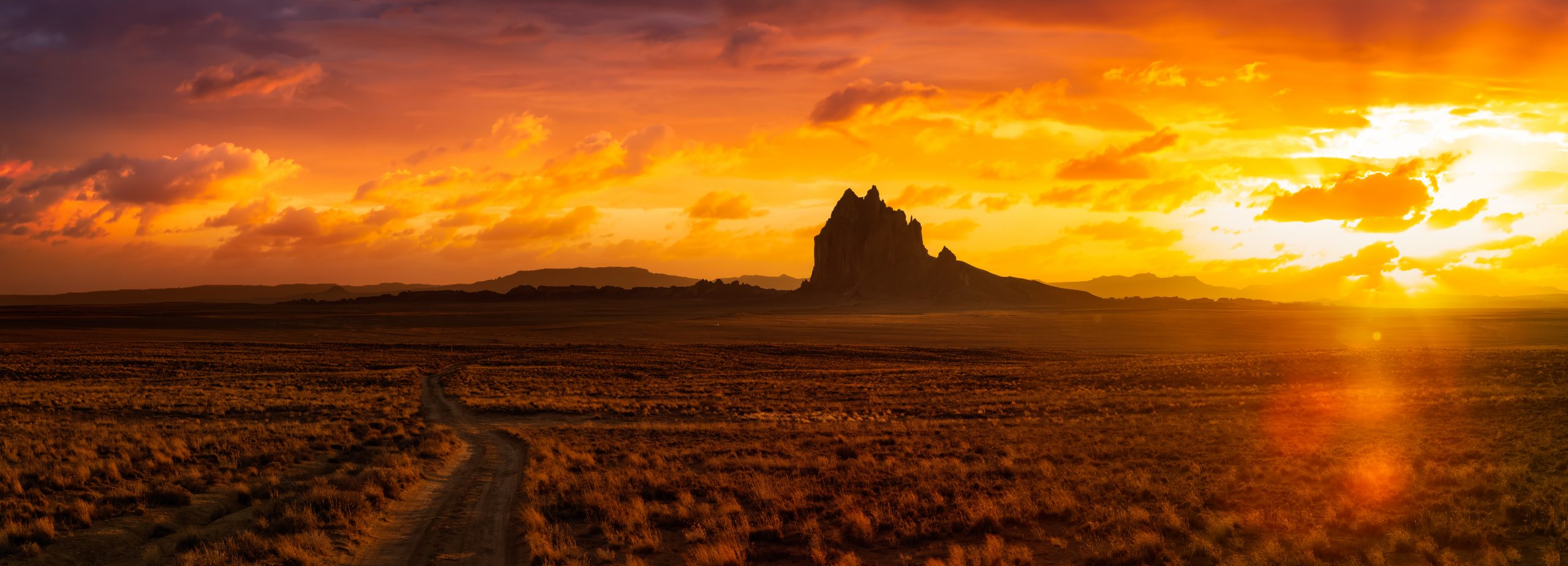 Panoramic American Nature Landscape View of the Dry Desert